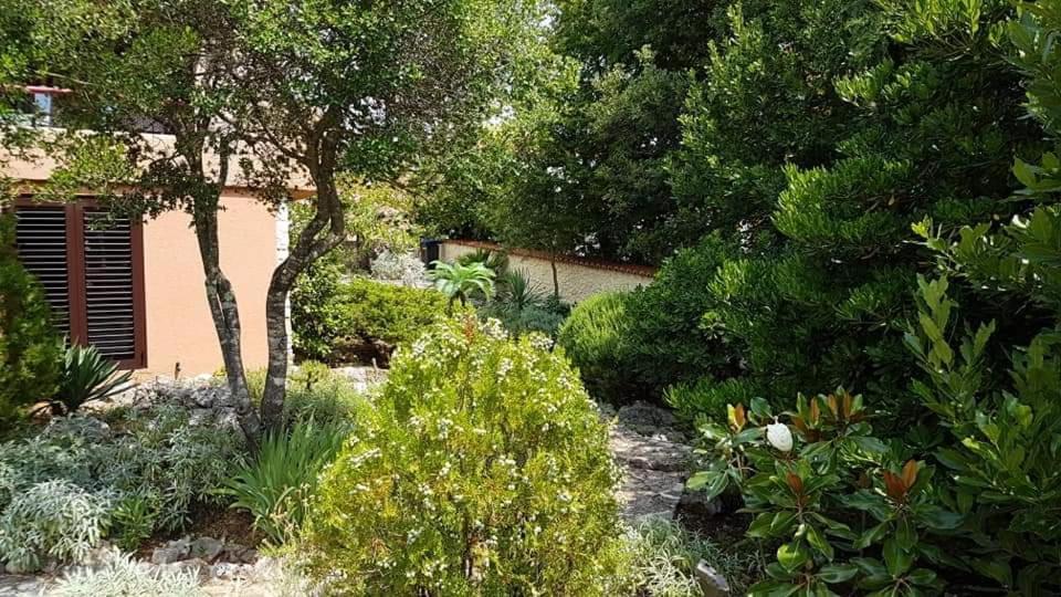 Apartments Villa Temer Pinezići Dış mekan fotoğraf