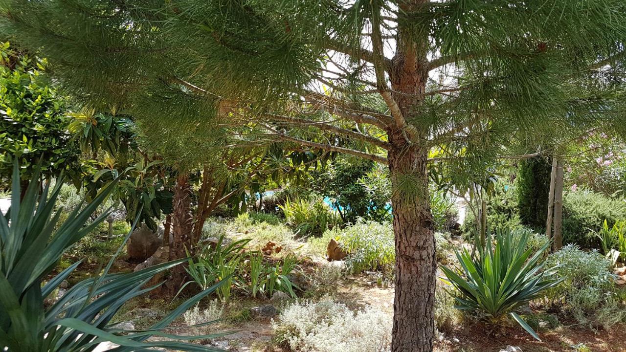 Apartments Villa Temer Pinezići Dış mekan fotoğraf